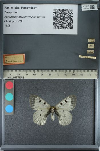 Media type: image;   Entomology 180089